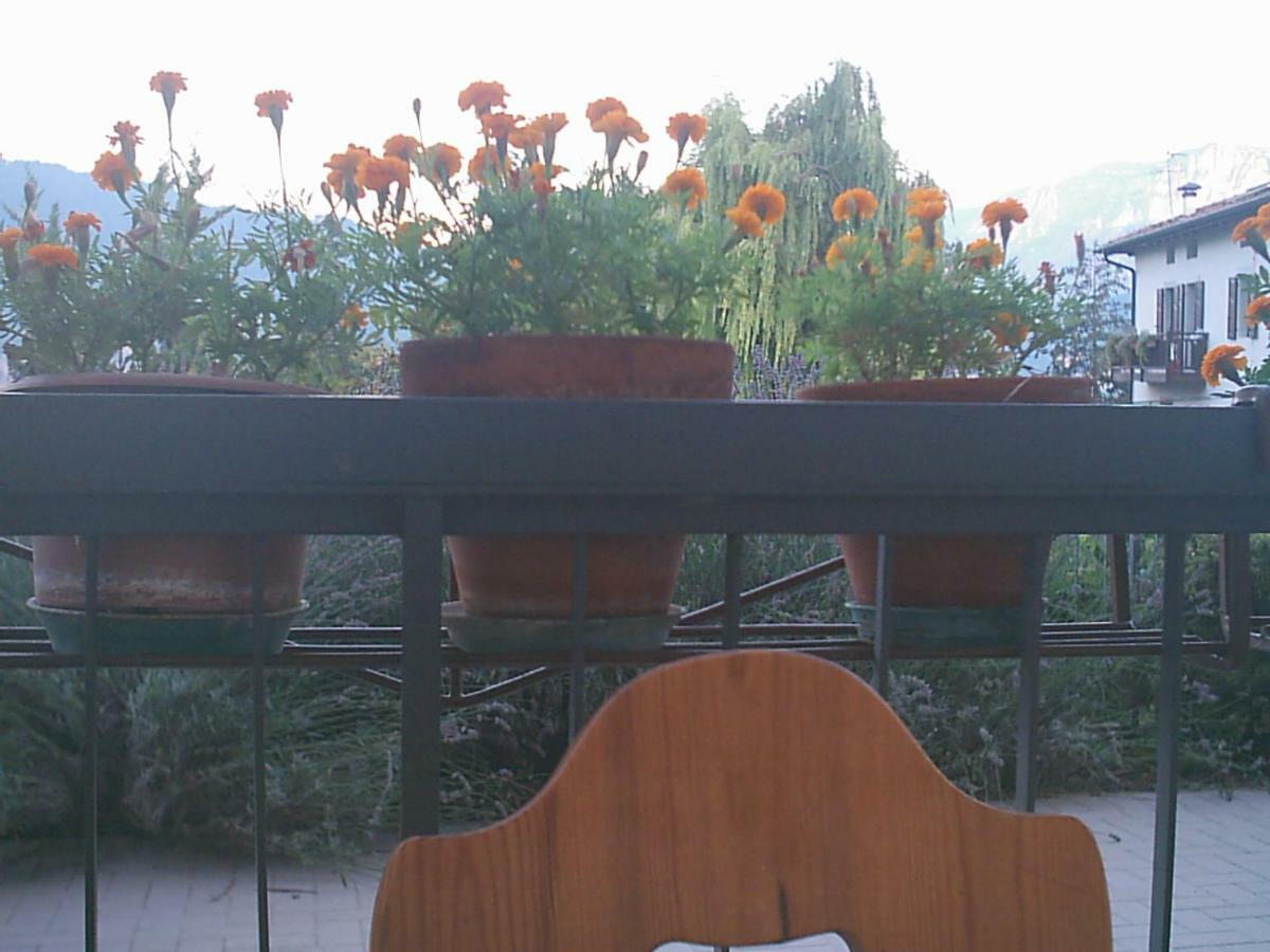 B&B La Pinara Trento Exterior foto