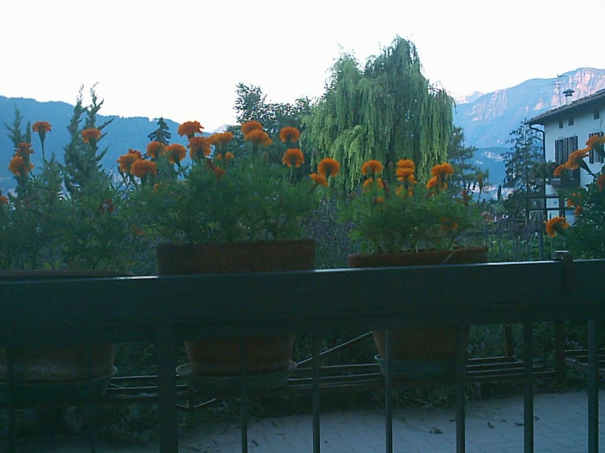 B&B La Pinara Trento Exterior foto
